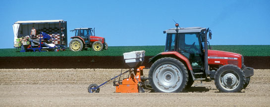 VitaCress Seed Distribution